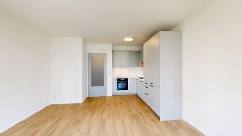 Bright, modern kitchen with gray cabinets, marble backsplash, built-in oven, and light wood floors viewed from an open living area.
