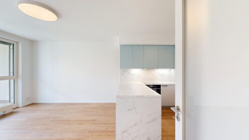 Bright minimal kitchen with pale gray wall cabinets above a marble island, white walls, and wood flooring in an open space.