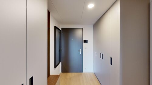 Modern hallway with white floor-to-ceiling storage cabinets on both sides and a dark gray entry door at the end, wooden floor.