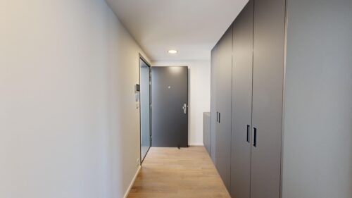 Narrow hallway with tall gray cabinets along the right wall, a pale room on the left, and a gray door at the far end.